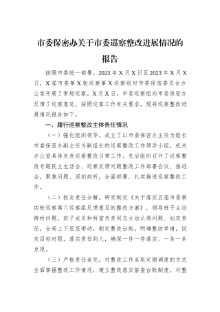 市委保密办关于市委巡察整改进展情况的报告