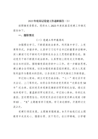 2023年度基层党建工作述职报告（3）