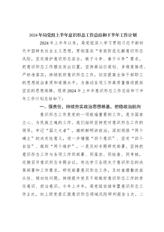 2024年局党组上半年意识形态工作总结和下半年工作计划