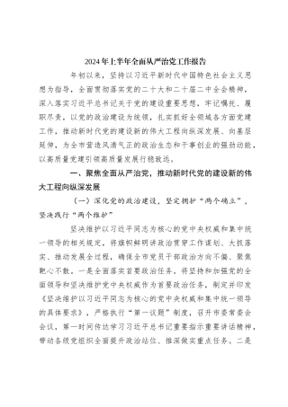2024年上半年全面从严治党工作报告