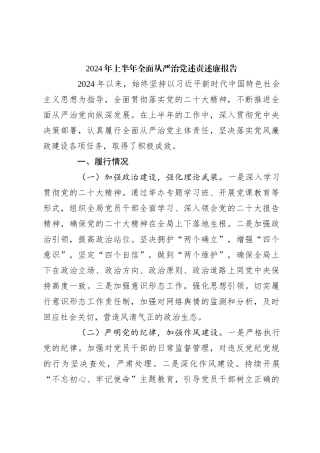 2024年上半年全面从严治党述责述廉报告