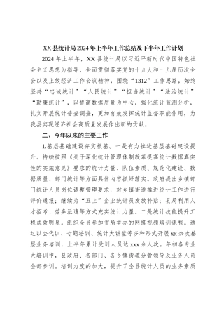 XX县统计局2024年上半年工作总结及下半年工作计划