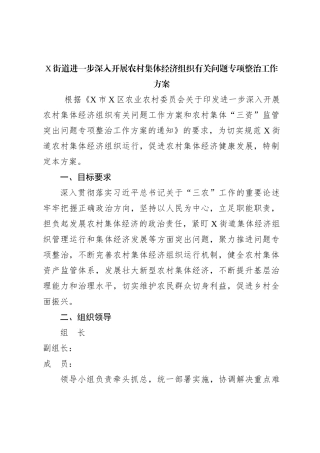 X街道进一步深入开展农村集体经济组织有关问题专项整治工作方案