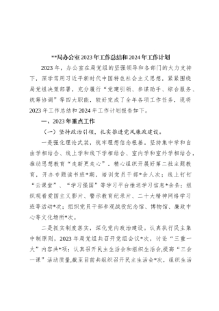 X局办公室2023年工作总结和2024年工作计划