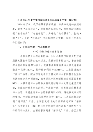 X区2024年上半年河湖长制工作总结及下半年工作计划