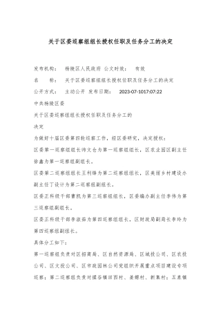 关于区委巡察组组长授权任职及任务分工的决定