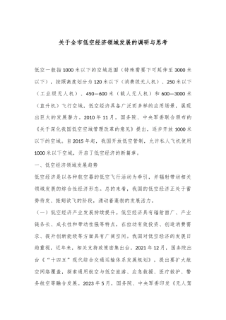 关于全市低空经济领域发展的调研与思考