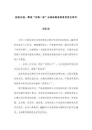 经验交流：聚焦“四维一体”全链条锻造高素质党支部书记队伍