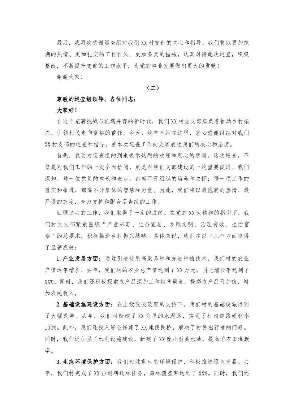巡查支部书记表态发言_第2页
