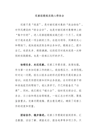 巡察组锻炼实践心得体会