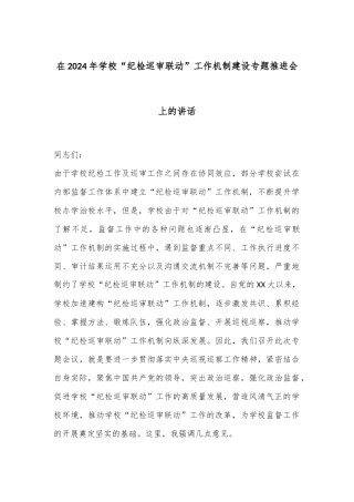 在2024年学校“纪检巡审联动”工作机制建设专题推进会上的讲话