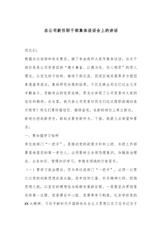 在公司新任职干部集体谈话会上的讲话