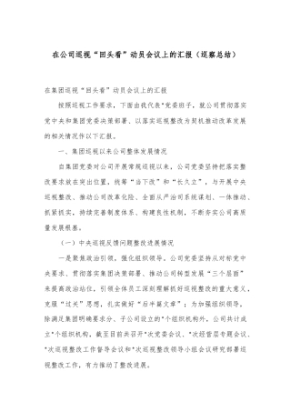 在公司巡视“回头看”动员会议上的汇报（巡察总结）