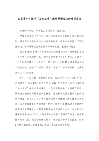 在全县乡村振兴“三比三看”流动现场会上的典型发言