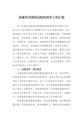 县域共青团基层组织改革工作汇报