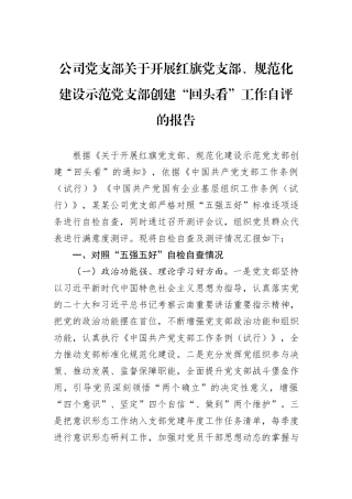 公司党支部关于开展红旗党支部、规范化建设示范党支部创建“回头看”工作自评的报告