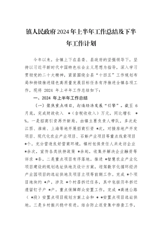 镇人民政府2024年上半年工作总结及下半年工作计划