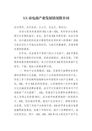 XX市电商产业发展情况推介词