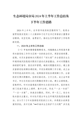 生态环境局分局2024年上半年工作总结及下半年工作思路