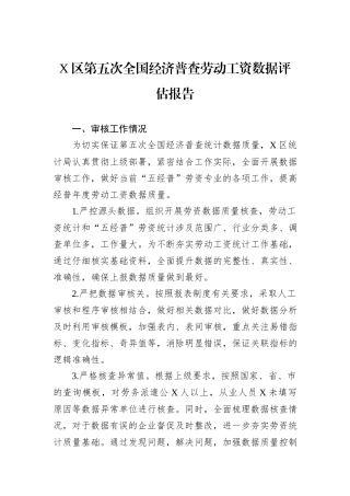 X区第五次全国经济普查劳动工资数据评估报告