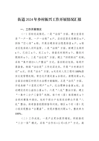 街道2024年乡村振兴工作开展情况汇报