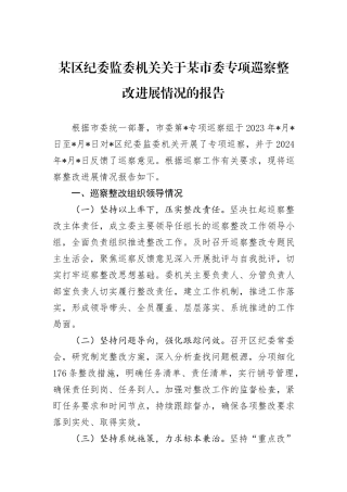 某区纪委监委机关关于某市委专项巡察整改进展情况的报告