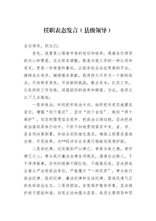 任职表态发言（县级领导）
