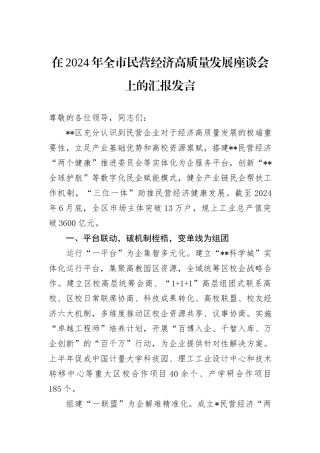 在2024年全市民营经济高质量发展座谈会上的汇报发言