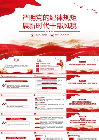 2024严明党的纪律规矩展新时代干部风貌党政风党纪学习教育课件PPT