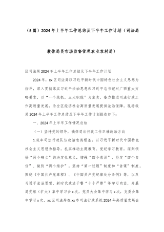 （5篇）2024年上半年工作总结及下半年工作计划（司法局教体局县市场监督管理农业农村局）