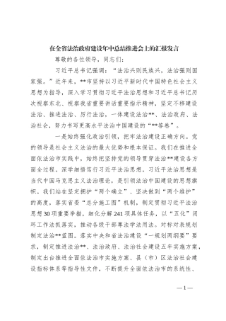 在全省法治政府建设年中总结推进会上的汇报发言