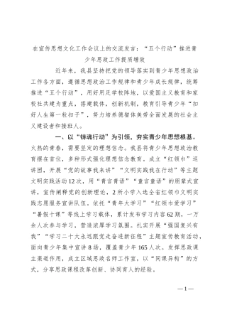 在宣传思想文化工作会议上的交流发言：“五个行动”推进青少年思政工作提质增效