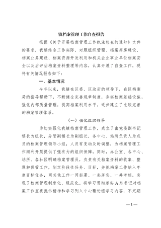 镇档案管理工作自查报告