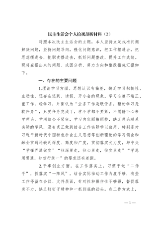 民主生活会个人检视剖析材料（2）