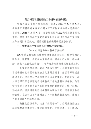 某公司关于巡视整改工作进展情况的报告