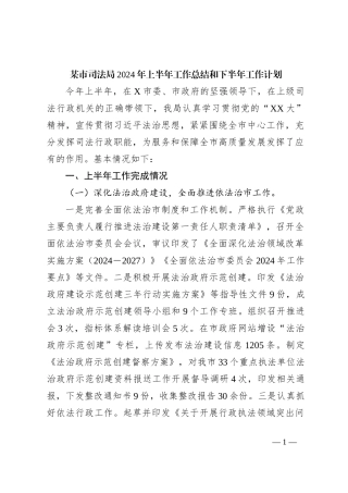 某市司法局2024年上半年工作总结和下半年工作计划