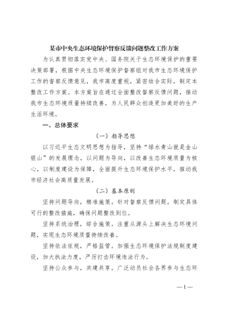 某市中央生态环境保护督察反馈问题整改工作方案