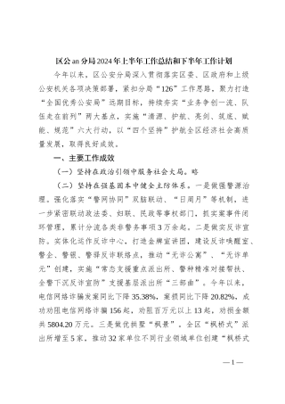 区公an分局2024年上半年工作总结和下半年工作计划