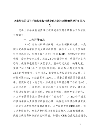 区市场监管局关于消费维权领域突出问题专项整治情况的汇报发言