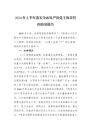 2024年上半年落实全面从严治党主体责任的情况报告