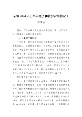 某镇2024年上半年经济和社会发展情况工作报告