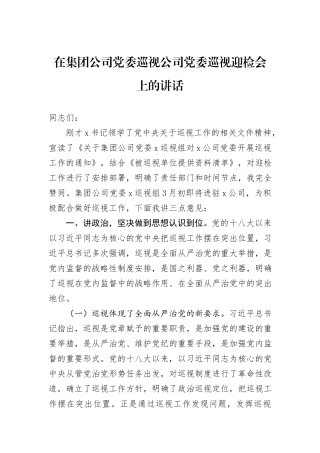 在集团公司党委巡视公司党委巡视迎检会上的讲话