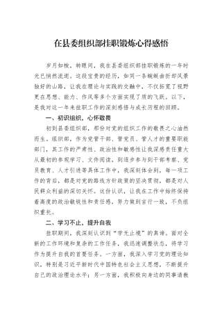 在县委组织部挂职锻炼心得感悟
