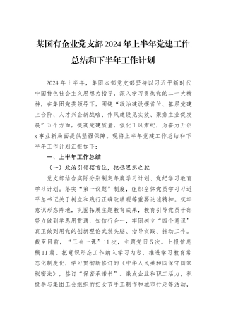 某国有企业党支部2024年上半年党建工作总结和下半年工作计划
