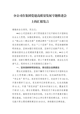分公司在集团党建高质量发展专题推进会上的汇报发言