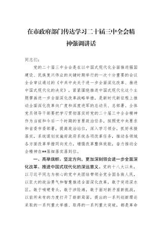 在市政府部门传达学习二十届三中全会精神强调讲话