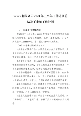 xxxxx有限公司2024年上半年工作进展总结及下半年工作计划
