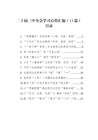 二十届三中全会学习心得汇编（13篇）