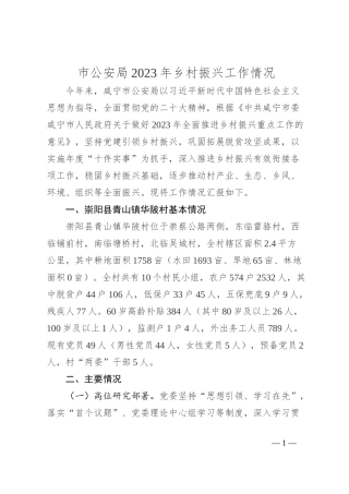 市公安局2023年乡村振兴工作情况