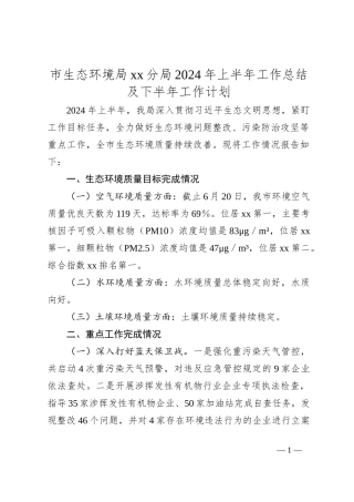 市生态环境局xx分局2024年上半年工作总结及下半年工作计划